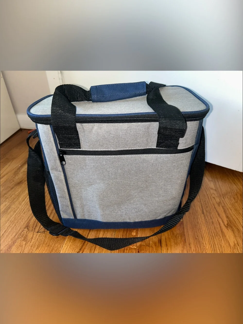 Blue and Grey New Spacious Insulated Cooler Beach Bag 12x16